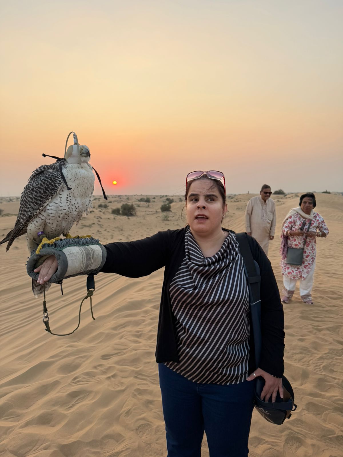 Dubai & Abu Dhabi VI Expedition